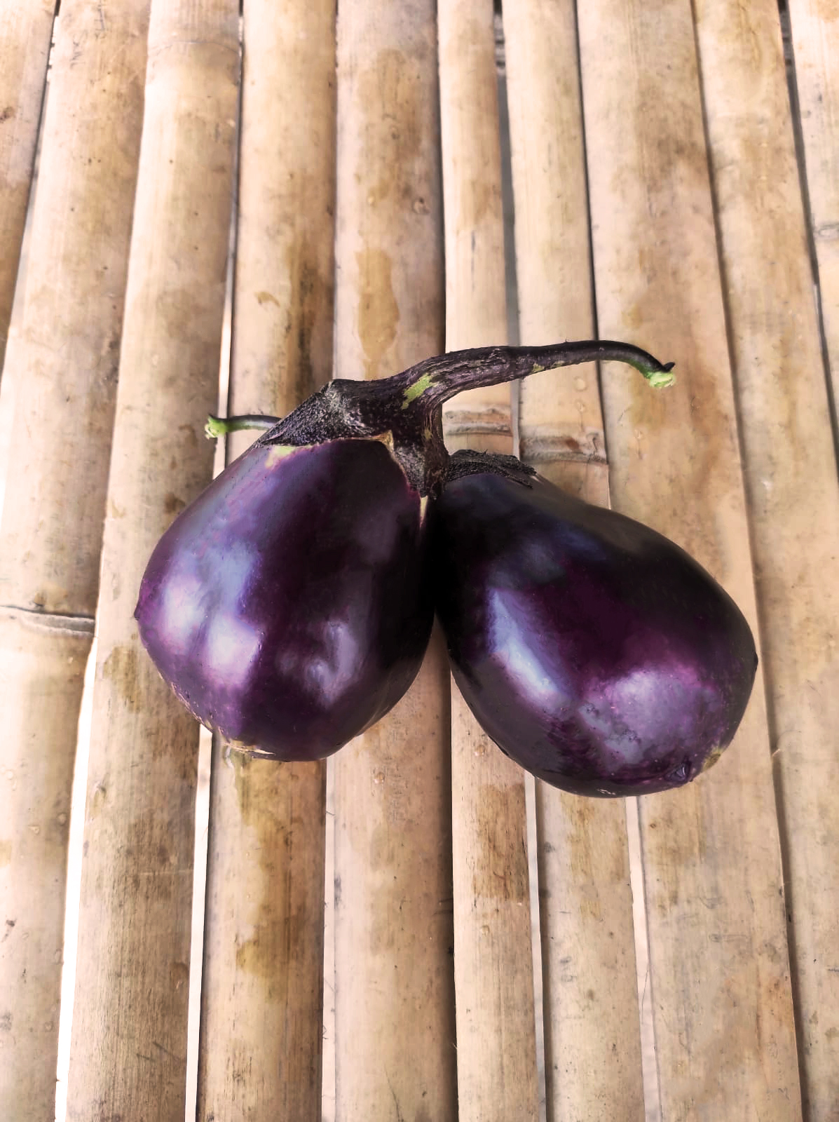 Japanese Eggplant