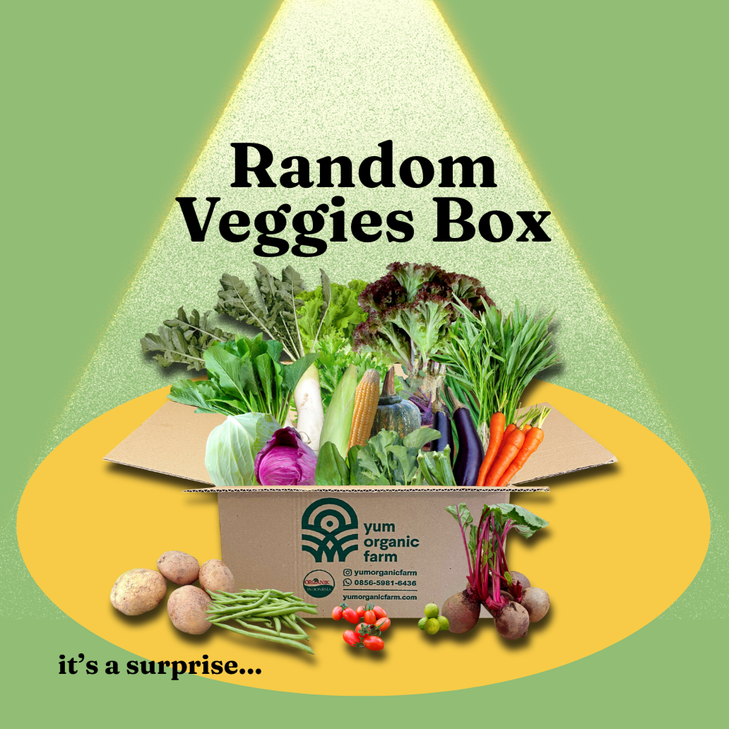 Random Veggies Box Random Veggies Box
